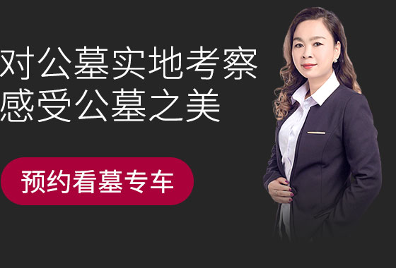 预约购墓班车