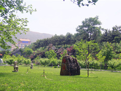 京东三河墓地-灵山宝塔陵园塔葬、树葬、生态葬价格多少