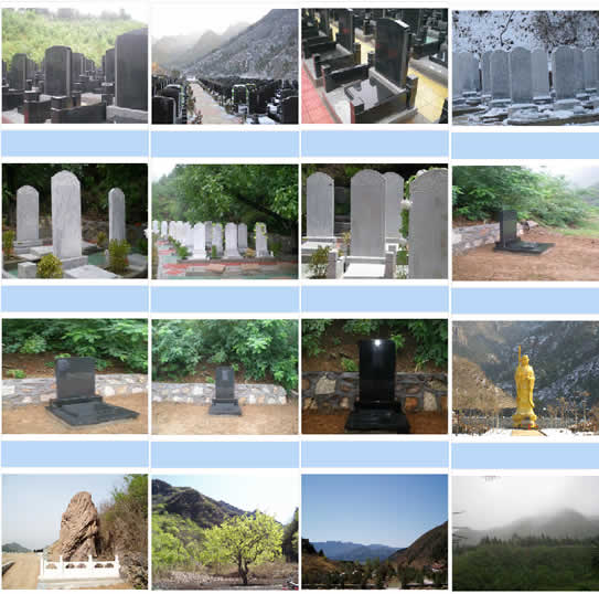 盘龙台公墓园区风景