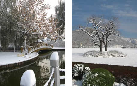 北京天寿陵园冬日风景欣赏1