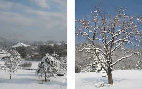 北京天寿陵园冬日风景欣赏8