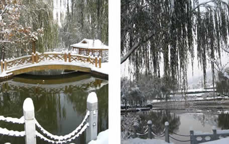 北京天寿陵园冬日风景欣赏9