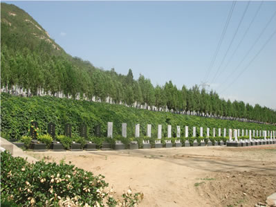 北京市昌平区九里山公墓二区风景-1