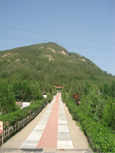北京市昌平区九里山公墓二区风景-2
