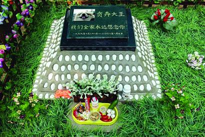 江苏:宠物"身后"留难事 殡葬服务面临尴尬-北京公墓网