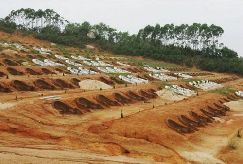 广东惠来毁林建800座高价墓 被曝光1个月未处理