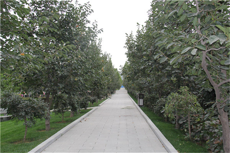 北京灵山宝塔陵园道路