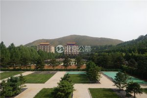 景观