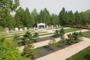 绿地