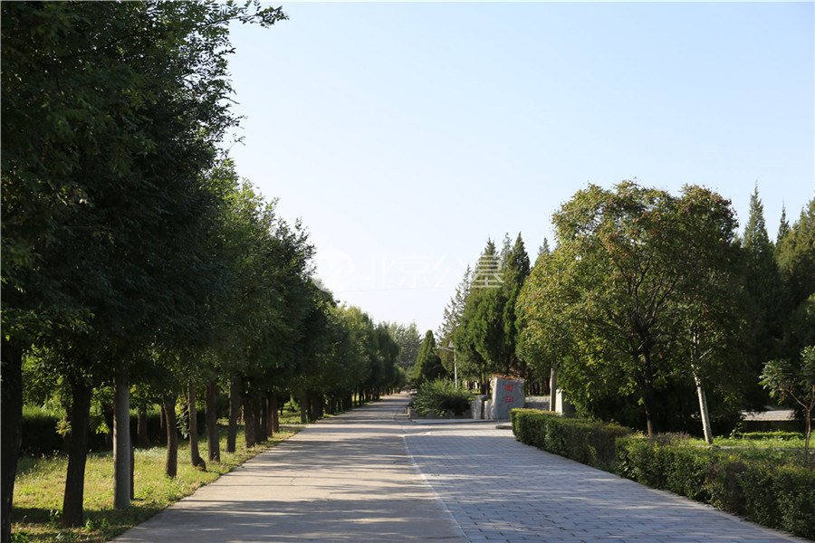 道路两旁