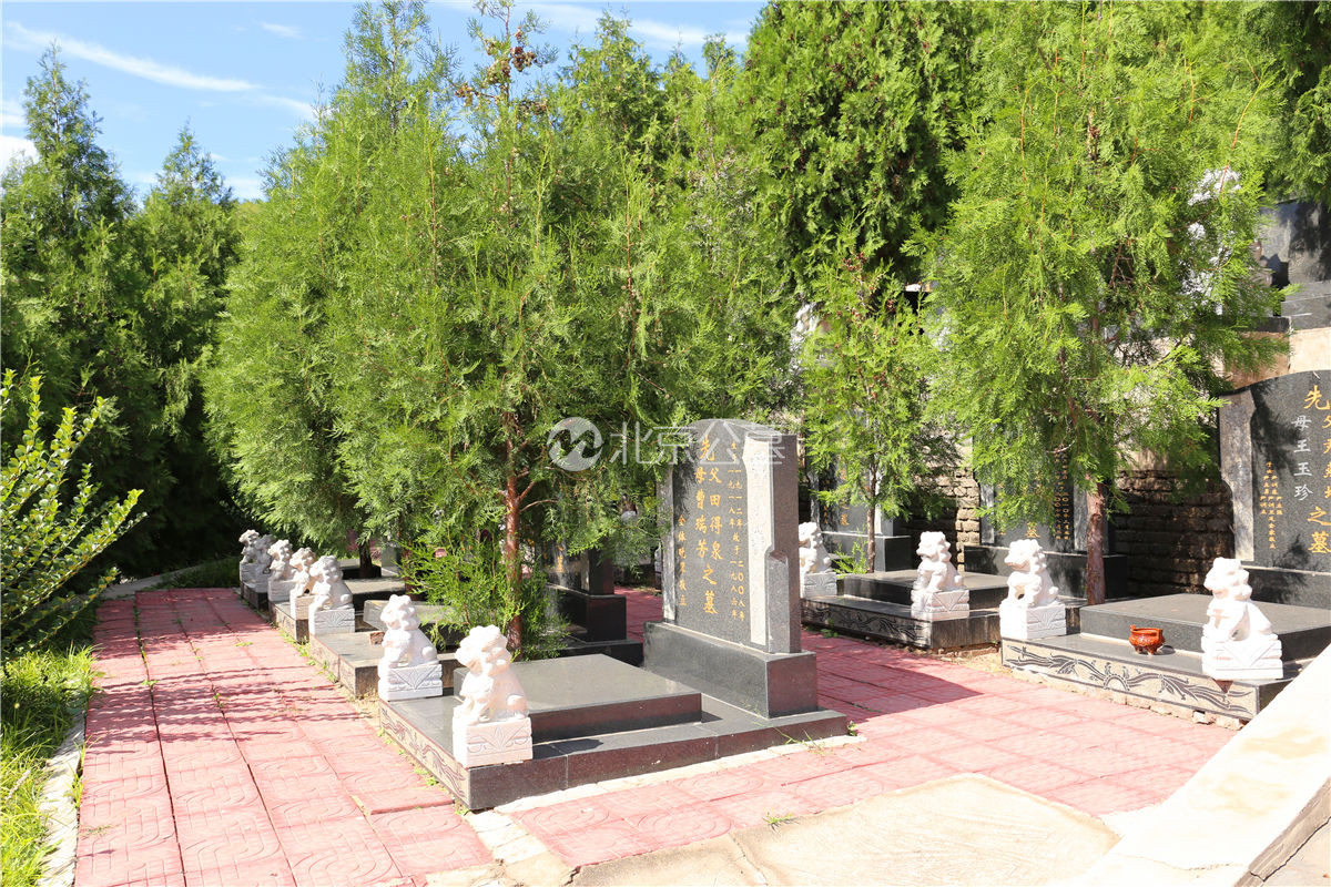 中国有哪些值得一去但鲜为人知的古墓？ - 知乎