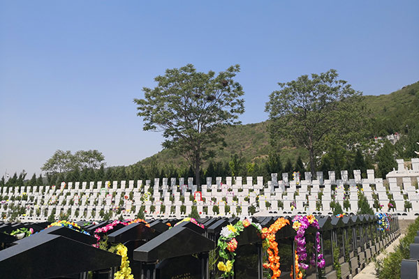 盘龙台墓区景观
