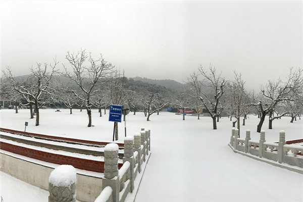 凤凰山陵园雪景