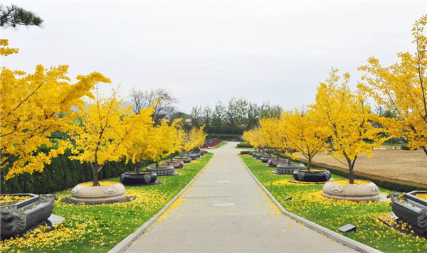 北京天寿陵园景观