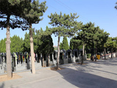 2021年清明北京市网上预约祭扫人数排前五位的公墓,太子峪陵园是其一