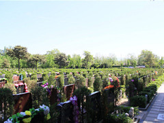 北京购买墓地墓穴的手续都需要哪些？流程给说下？
