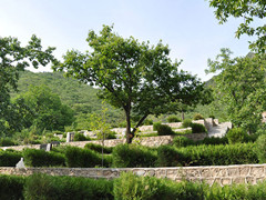 北京市郊九公山长城纪念林墓地价格总算下来得多少钱？