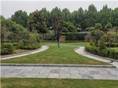 生态树葬成为新趋势,北京及周边树葬汇总