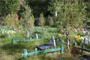 树葬区域