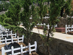 北京怀柔九公山长城纪念林生态葬有哪些形式？九公山陵园生态树葬草坪葬价格多少