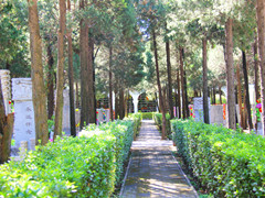 北京市朝阳区生态葬墓地有哪些？朝阳公墓陵园生态葬价格多少