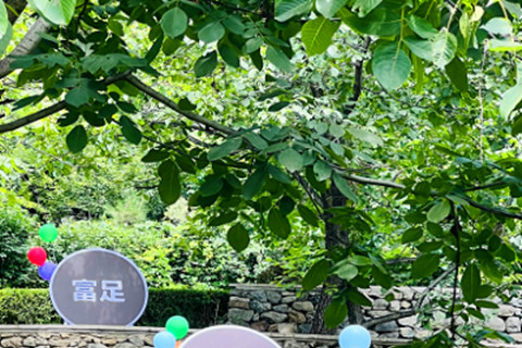 九公山长城纪念林陵园福泽园园区怎么样？墓型销售价格多少钱