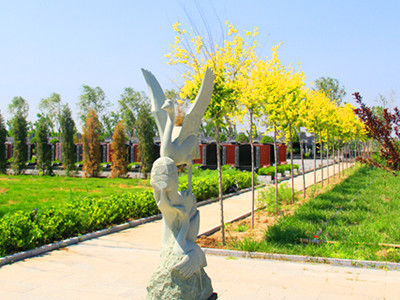 廊坊文安县清颐园公墓园区价格对比：哪个更便宜？费用详情解析