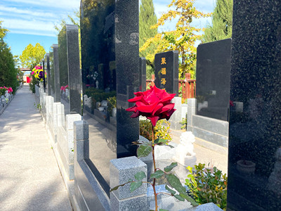 北京大兴区墓地：天堂公墓、天慈墓园现状及周边墓地推荐