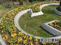 节地生态葬值得推广