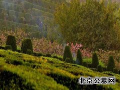 盖楼不如“挖坑”，这个行业毛利率碾压房企？