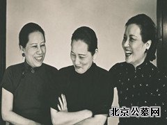 宋庆龄病逝，治丧委员会向全球发布讣告，宋美龄获悉后说了八个字