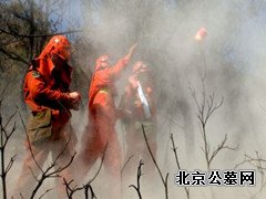 潮白陵园积极做好杨柳絮火情高发应对工作