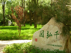 八达岭陵园中国足球事业之碑马克坚