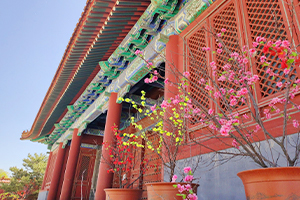 中华永久陵园
