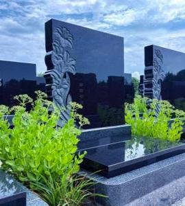 中华2号园E甲区合韵