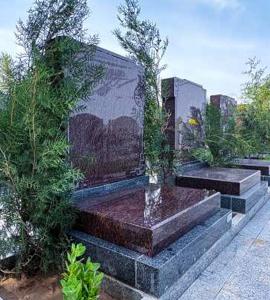 福安园玖区圣和