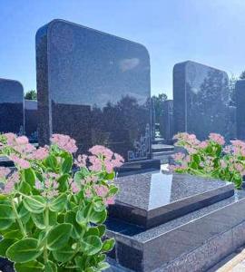 中华2号园G5区福韵