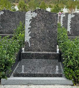 御景园15B区英国棕碑