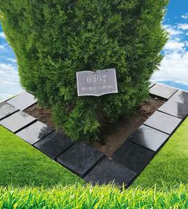 祥安苑东二区树葬