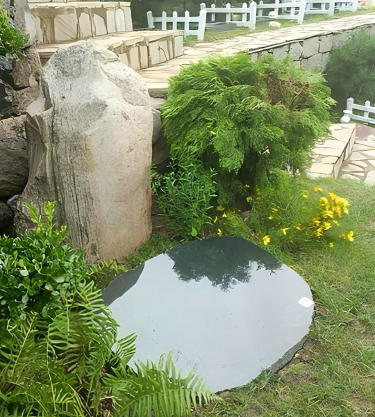 功泽园返璞归真