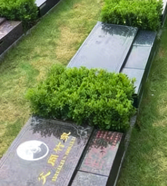 福泽园福安卧碑