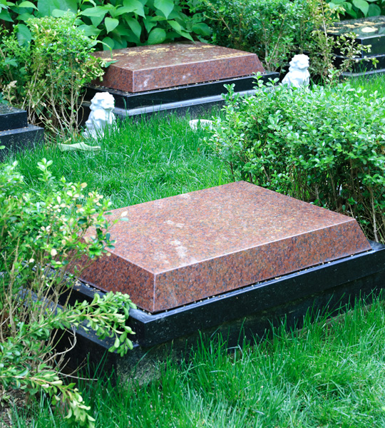 福泽园福地千秋