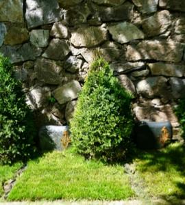 福泽园卧林树葬