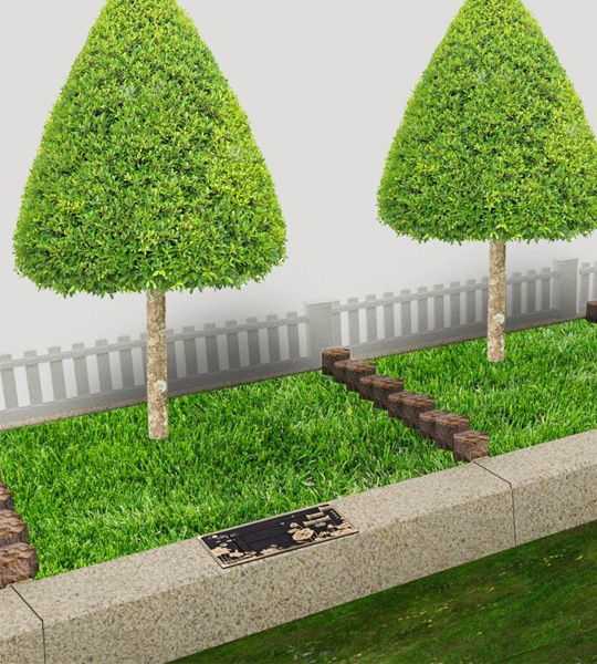 福泽园树葬翠影