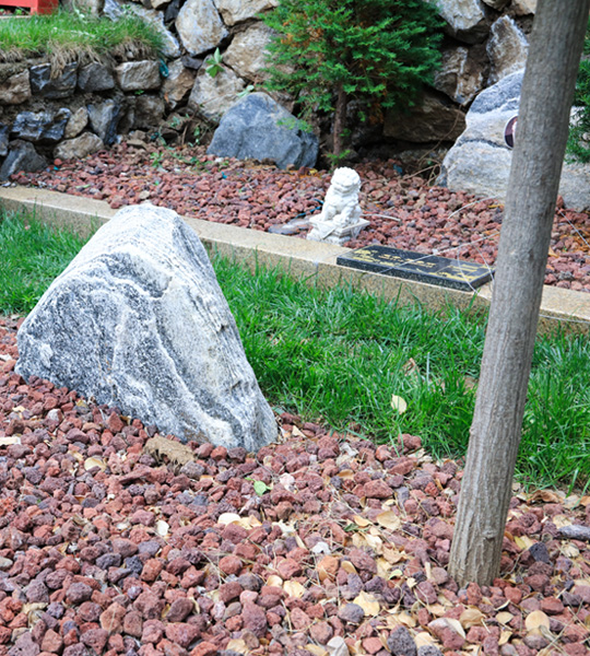 福泽园树葬云木