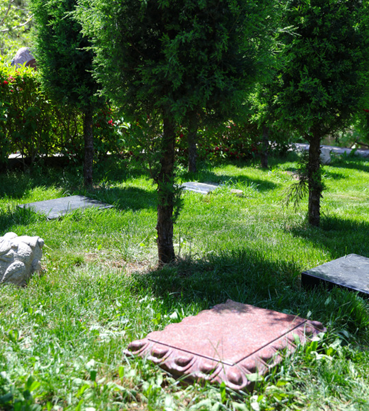 如意园树葬卧碑