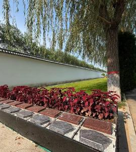 颐景园双穴花坛葬