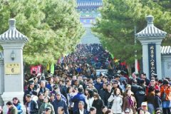 万元以下小型墓地清明后推出