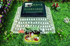 江苏：宠物“身后”留难事 殡葬服务面临尴尬