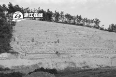 世界遗产边开建公墓 未审批民政局称管不着